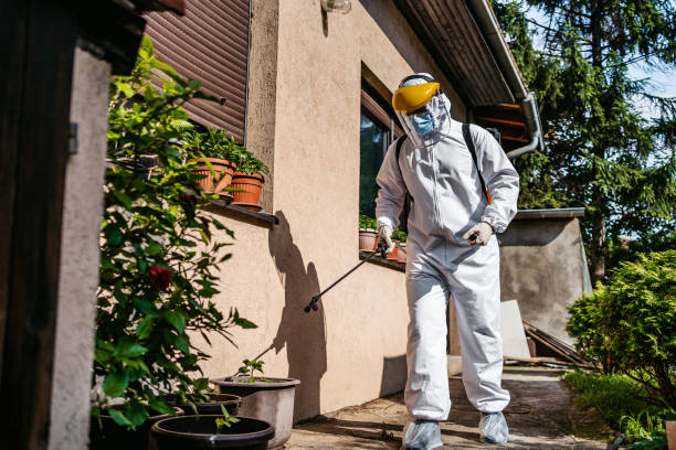 Best Residential Pest Control  in Ilion, NY