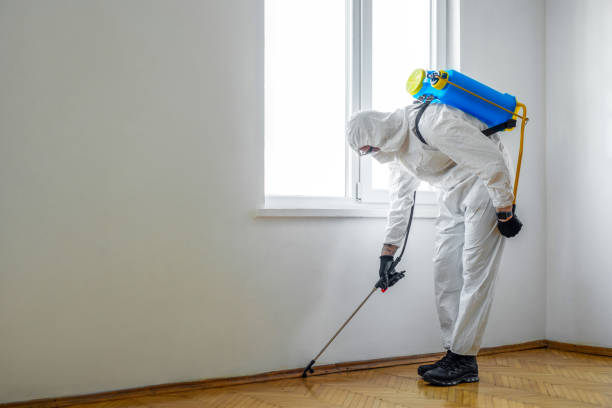 Best Emergency Pest Control  in Ilion, NY