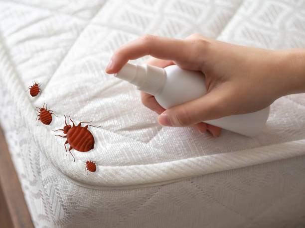 Best Mosquito Control Services  in Ilion, NY