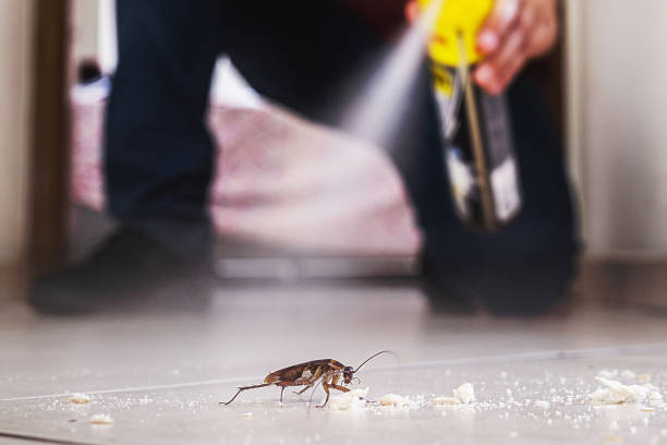 Best Pest Inspection Near Me  in Ilion, NY